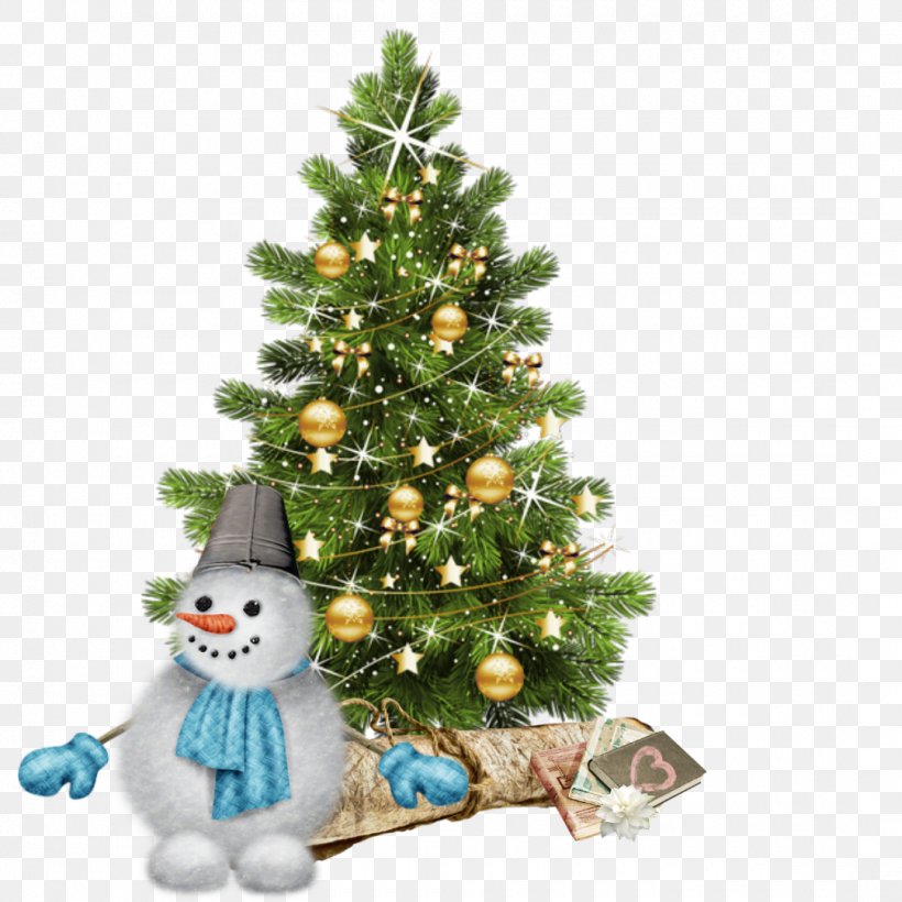 Vector Graphics Fir Tree Stock Illustration, PNG, 1080x1080px, Fir, Balsam Fir, Branch, Christmas, Christmas Day Download Free