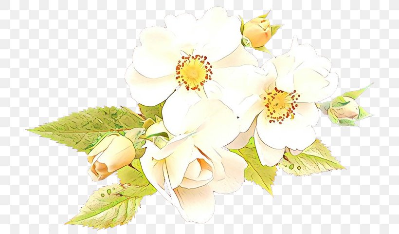 Flower White Petal Plant Flowering Plant, PNG, 747x480px, Cartoon, Blossom, Bouquet, Cut Flowers, Flower Download Free