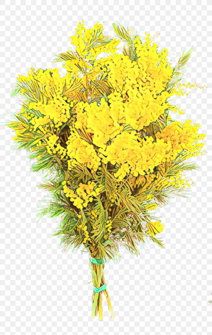 Mimosa, PNG, 937x1477px, Cartoon, Cut Flowers, Flower, Flowering Plant, Forsythia Download Free