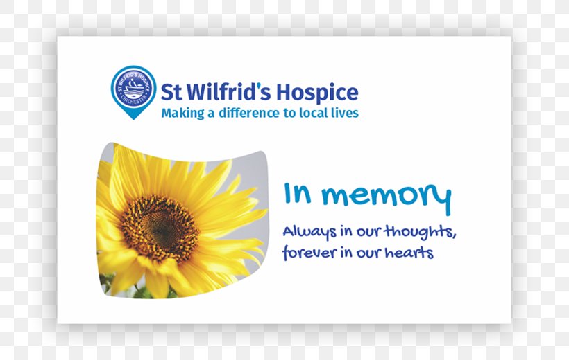Car Donation Niagara Hospice St Wilfrid's Hospice Sunflower M, PNG, 780x520px, 2017, Donation, Brand, Car Donation, Flower Download Free