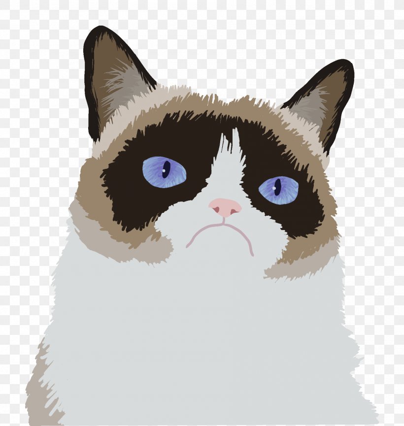 Grumpy Cat Cat Food Himalayan Cat Art, PNG, 1800x1900px, Grumpy Cat, American Wirehair, Animation, Architect, Art Download Free