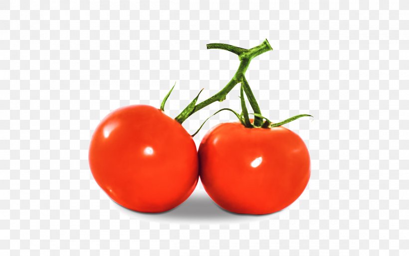 La Tomatina Buxf1ol Juice Vegetarian Cuisine Berry, PNG, 1200x751px, La Tomatina, Berry, Bush Tomato, Cherry, Diet Food Download Free