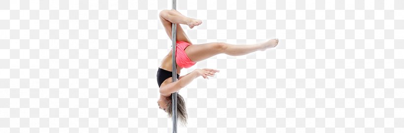 Physical Fitness, PNG, 1300x430px, Physical Fitness, Event, Joint, Performance, Performing Arts Download Free
