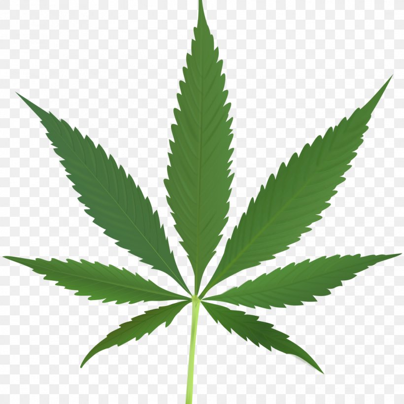 Cannabis Sativa Medical Cannabis Clip Art 420 Day, PNG, 1108x1108px, 420 Day, Cannabis Sativa, Cannabis, Cannabis In Papua New Guinea, Cannabis Ruderalis Download Free