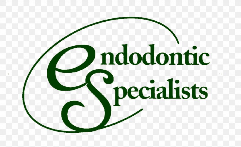 Endodontic Specialists Dr. Rudolph Lantelme Endodontics Ian B. Glick, D.M.D. Dentistry, PNG, 1024x627px, Endodontics, Area, Brand, Concord, Dentistry Download Free