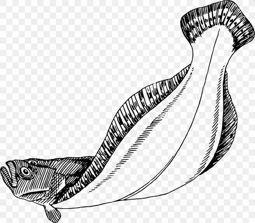 Flatfish Flounder Drawing Clip Art, PNG, 2400x2097px, Fish, Automotive Design, Black And White, Diagram, Drawing Download Free
