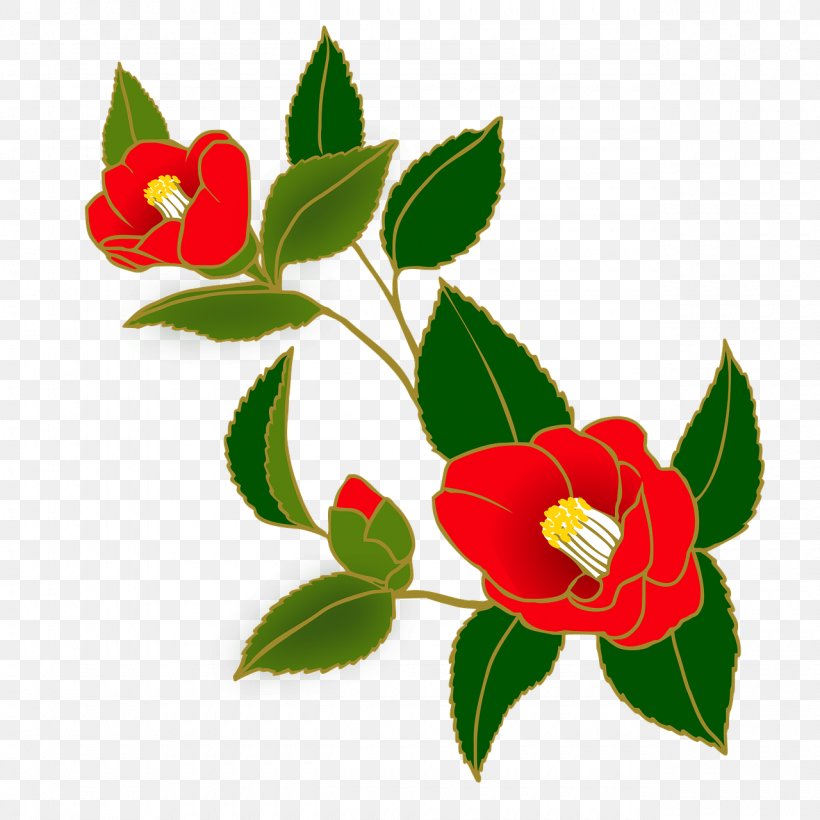 Japanese Camellia Garden Roses Clip Art, PNG, 1280x1280px, Japanese Camellia, Branch, Camellia, Drawing, Flora Download Free