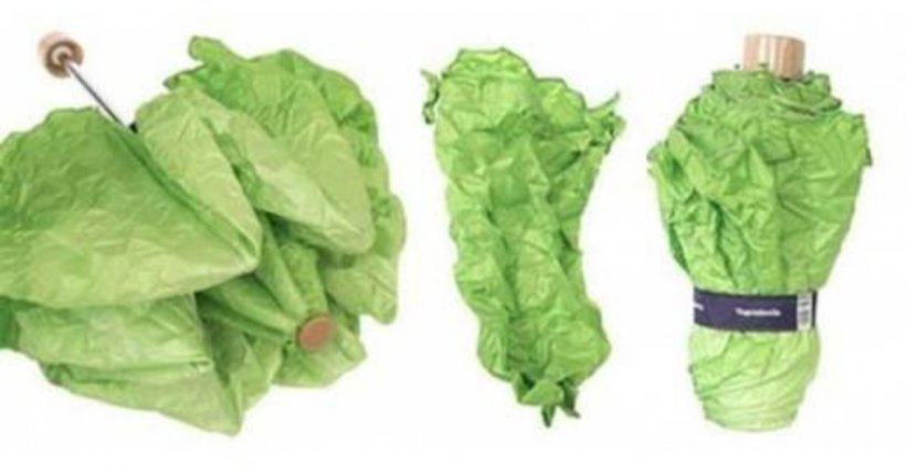 Romaine Lettuce Umbrella Leaf Vegetable, PNG, 1440x753px, Lettuce, Cabbage, Chard, Cruciferous Vegetables, Food Download Free