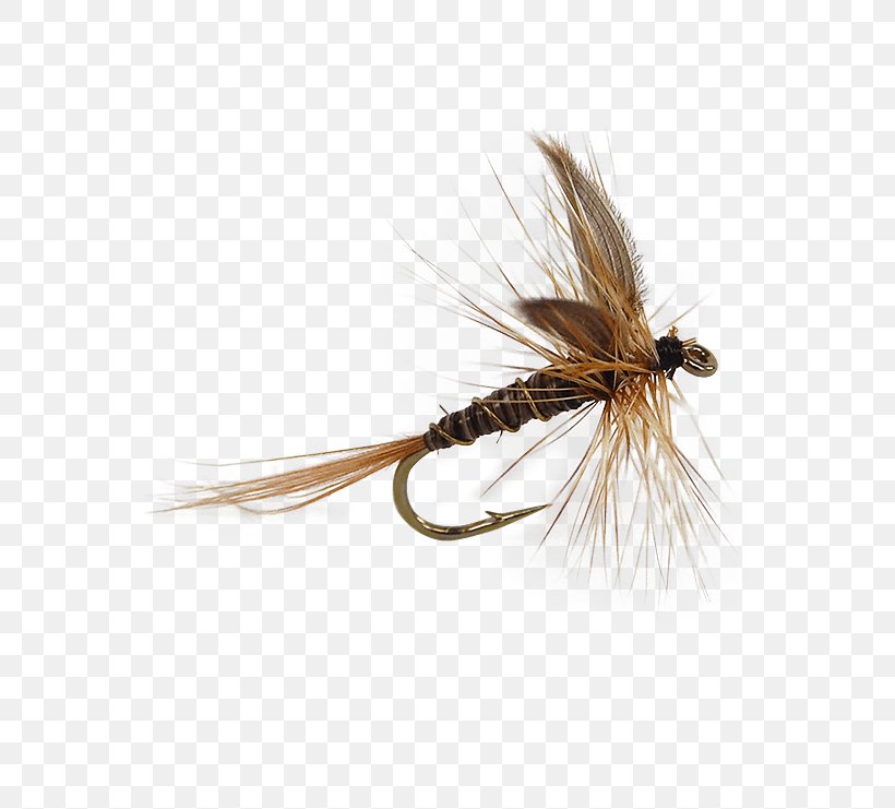 Holly Flies Artificial Fly Fly Fishing Insect, PNG, 555x741px, Holly Flies, Artificial Fly, Brand Ambassador, Crane Fly, Fishing Download Free