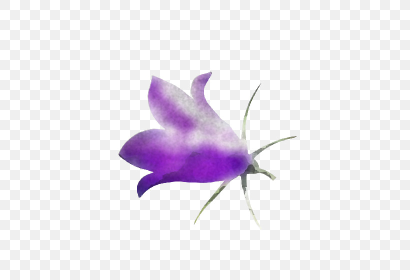 Lavender, PNG, 560x560px, Leaf, Biology, Butterflies, Flower, Lavender Download Free