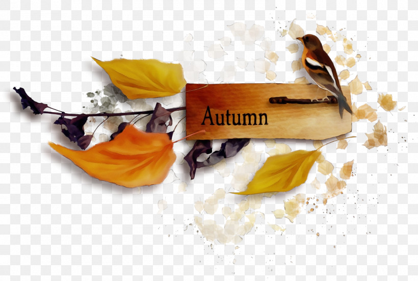 Leaf Autumn Defoliation Blog Twig, PNG, 1600x1077px, Watercolor, Autumn, Blog, Defoliation, Leaf Download Free