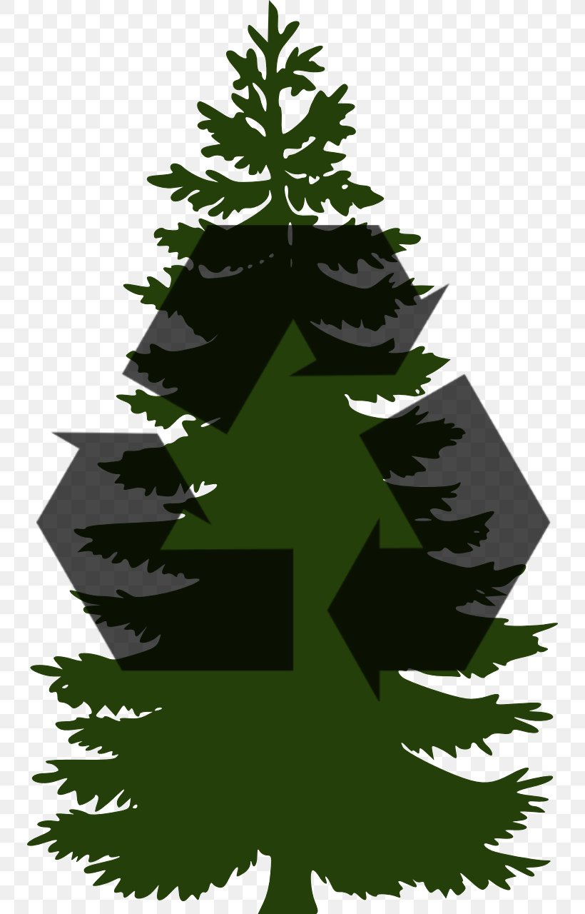 Pine Tree Clip Art, PNG, 744x1280px, Pine, Branch, Christmas Decoration, Christmas Ornament, Christmas Tree Download Free