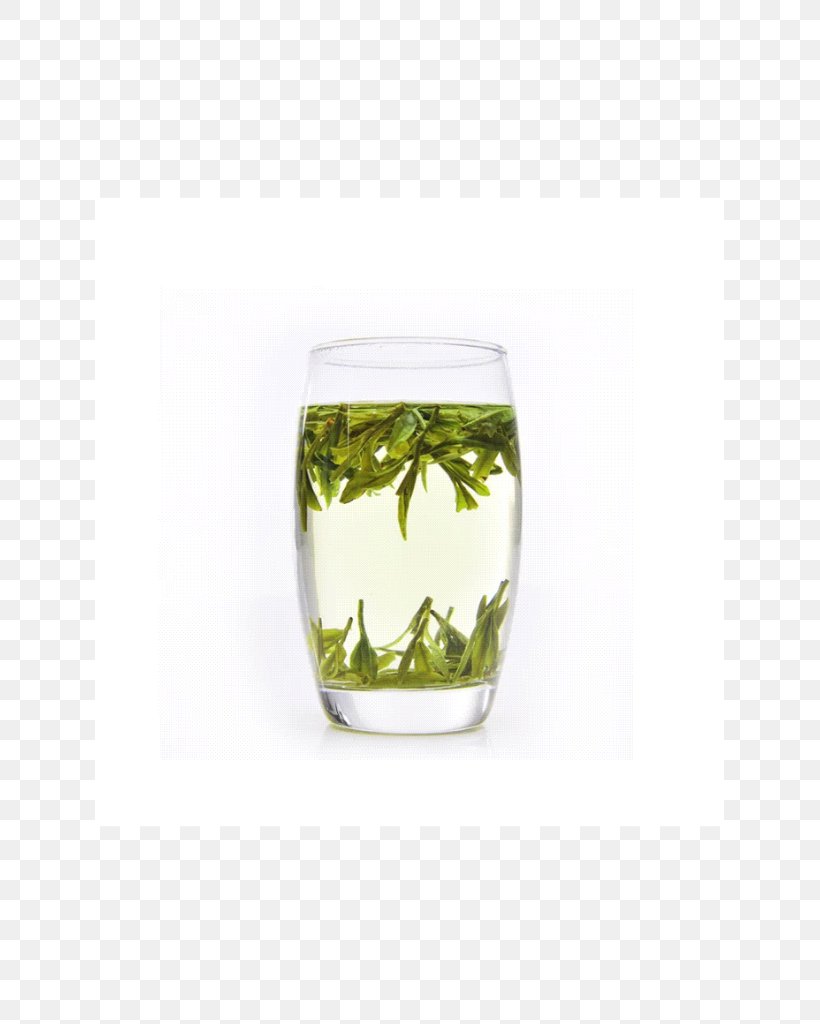 Green Tea Huangshan Maofeng Highball Glass, PNG, 629x1024px, Tea, Blood, Blood Pressure, Feeling Tired, Glass Download Free