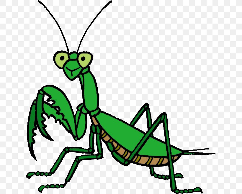 Insect Line Art Cartoon Pest Clip Art, PNG, 643x658px, Insect, Animal Figure, Artwork, Cartoon, Fauna Download Free