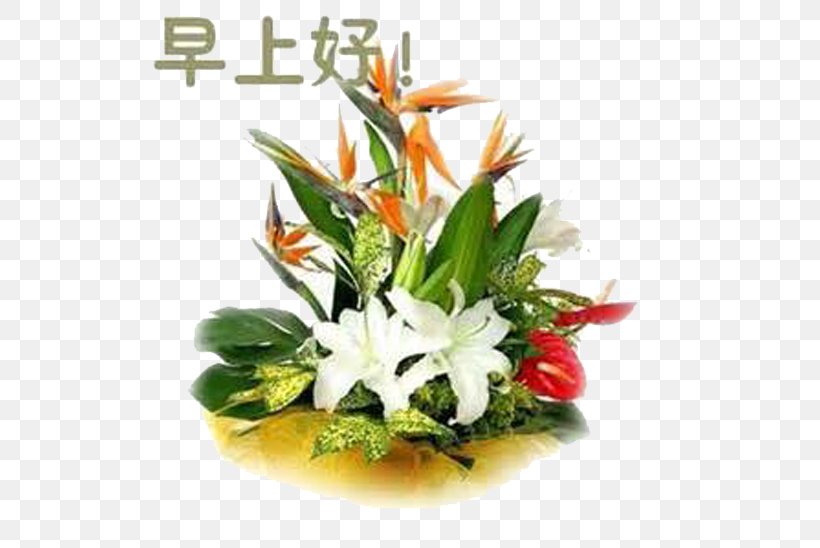 Morning Greeting Tencent QQ Night WeChat, PNG, 550x548px, Morning, Afternoon, Anger, Artificial Flower, Cut Flowers Download Free