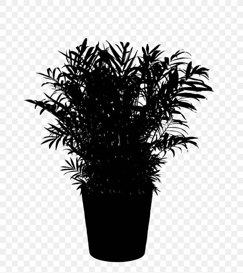 Palm Trees Black & White, PNG, 768x922px, Palm Trees, Arecales, Black, Black White M, Flower Download Free