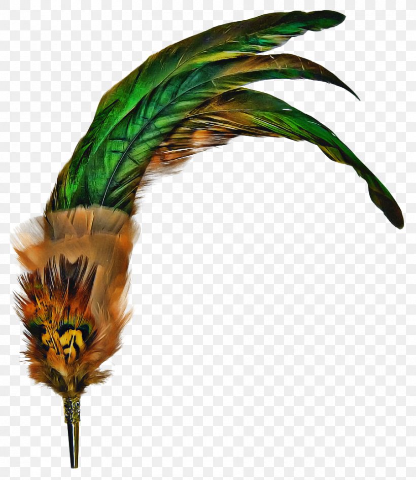 Peacock, PNG, 900x1039px, Feather, Costume Accessory, Headgear, Leaf, Peafowl Download Free