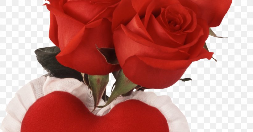Valentine's Day Rose Romance Love Flower, PNG, 1200x630px, Rose, Boyfriend, Couple, Cut Flowers, Floristry Download Free