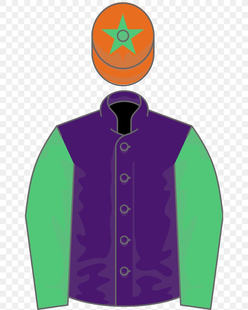 Ascot Racecourse Ascot Gold Cup Thoroughbred Newcastle Racecourse Horse Racing, PNG, 656x1024px, Ascot Racecourse, Ascot Gold Cup, Clothing, Filly, Green Download Free