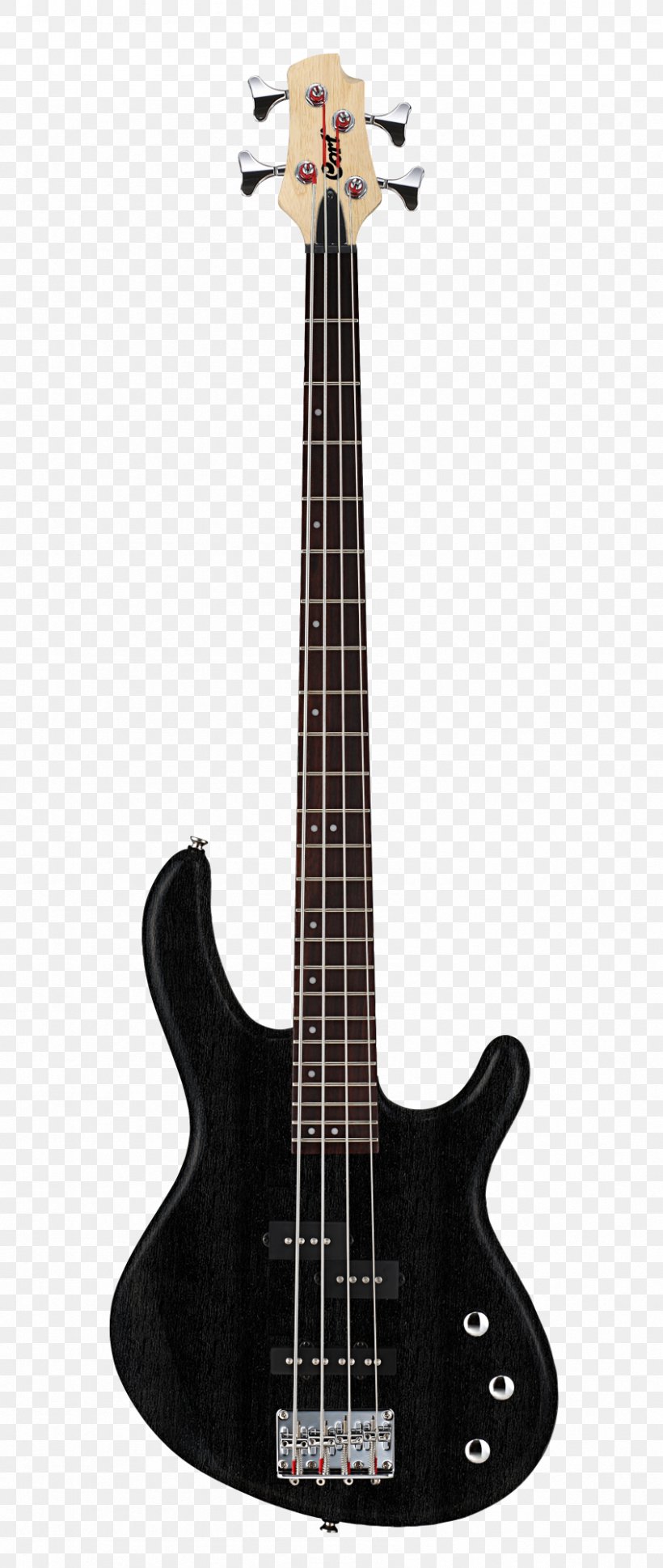 Bass Guitar Cort Guitars Double Bass Action, PNG, 846x2000px, Bass Guitar, Acoustic Electric Guitar, Acoustic Guitar, Action, Bassist Download Free