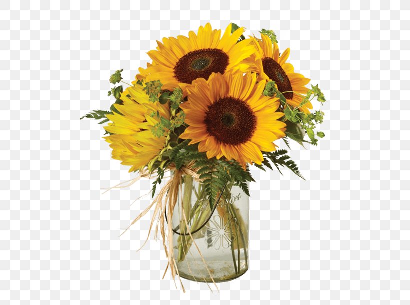 Common Sunflower Floral Design Cut Flowers Transvaal Daisy, PNG, 500x611px, Common Sunflower, Annual Plant, Artificial Flower, Cut Flowers, Daisy Family Download Free