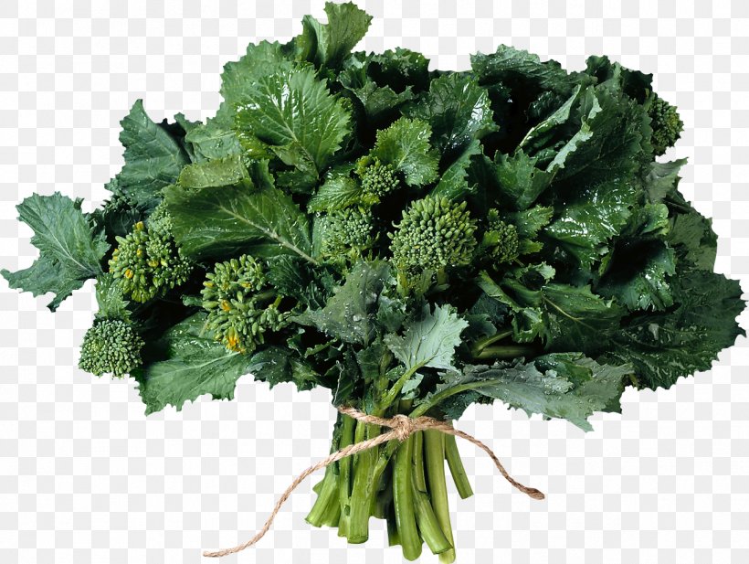 Herb Parsley Salad Clip Art, PNG, 1297x977px, Herb, Broccoli, Cabbage, Chervil, Collard Greens Download Free