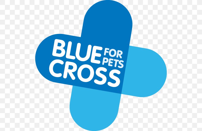Horse Cat Dog Blue Cross Rehoming Centre, Burford, PNG, 534x533px, Horse, Abandonment Of Animals Act 1960, Animal Welfare, Blue, Blue Cross Download Free