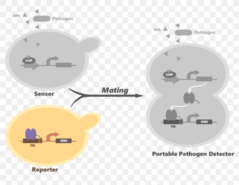 Technology Cartoon Diagram, PNG, 1268x983px, Technology, Animal, Cartoon, Diagram, Material Download Free