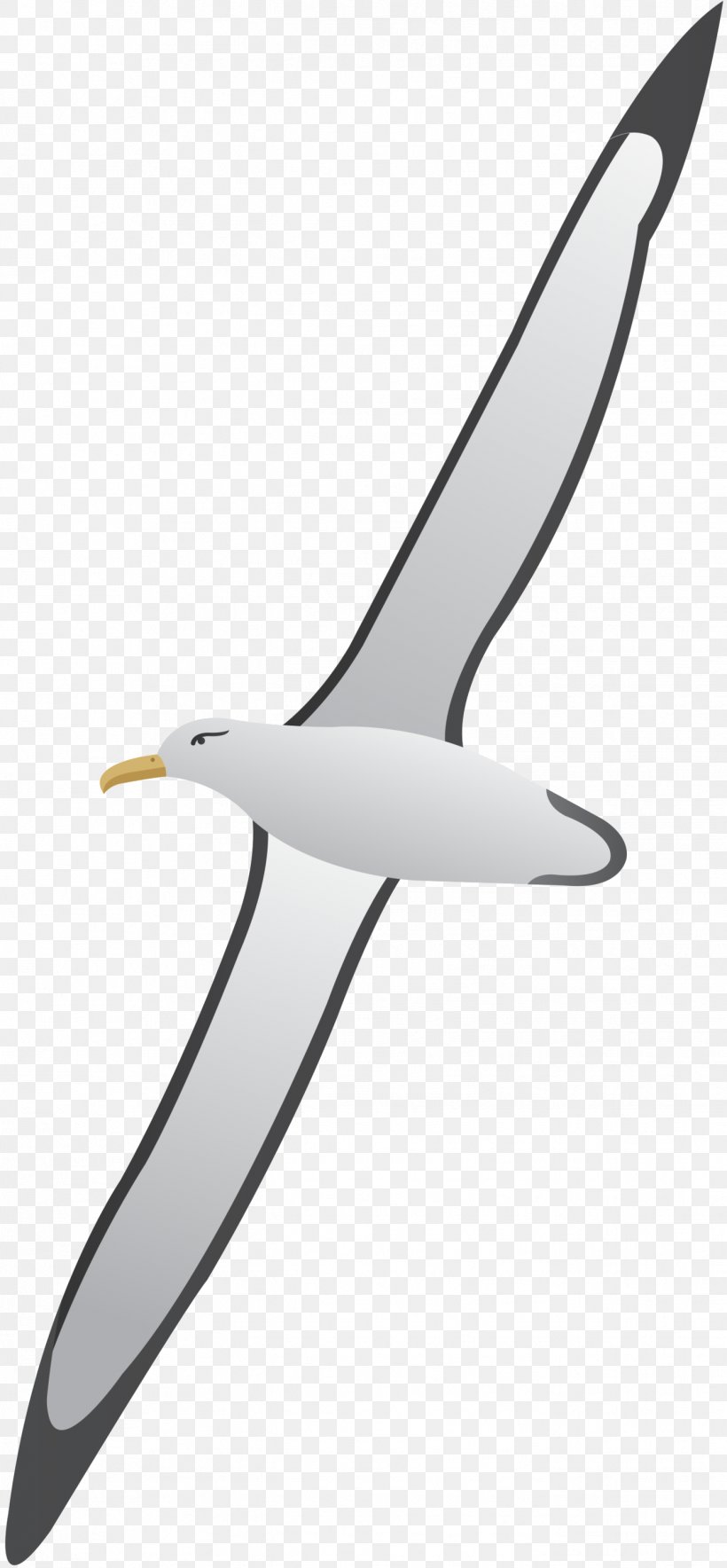 Beak Clip Art Product Design Line, PNG, 1342x2894px, Beak, Bird, Charadriiformes, Gull, Seabird Download Free