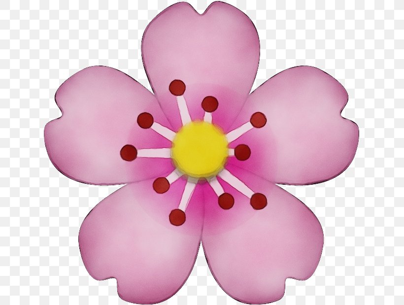 Pink Petal Flower Violet Plant, PNG, 641x619px, Watercolor, Flower, Paint, Petal, Pink Download Free