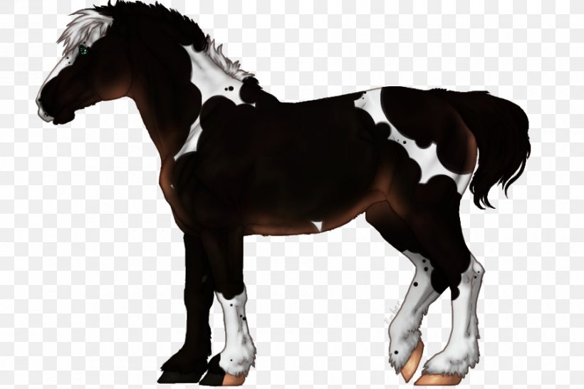 Stallion Thoroughbred Mare Dutch Warmblood Mustang, PNG, 900x600px, Stallion, Colt, Dutch Warmblood, Foal, Halter Download Free
