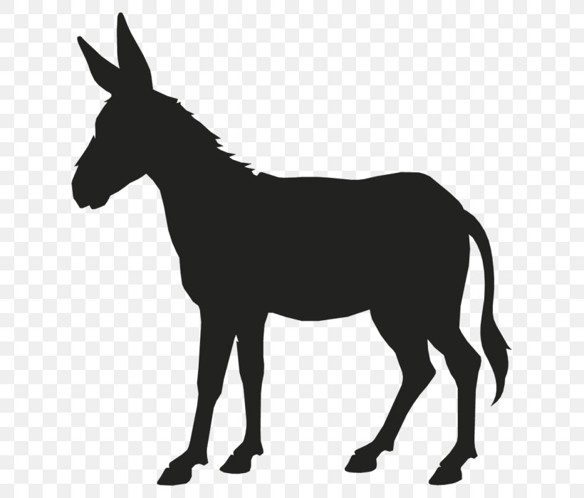 Donkey Mule Vector Graphics Clip Art, PNG, 653x700px, Donkey, Black And White, Bridle, Colt, Drawing Download Free