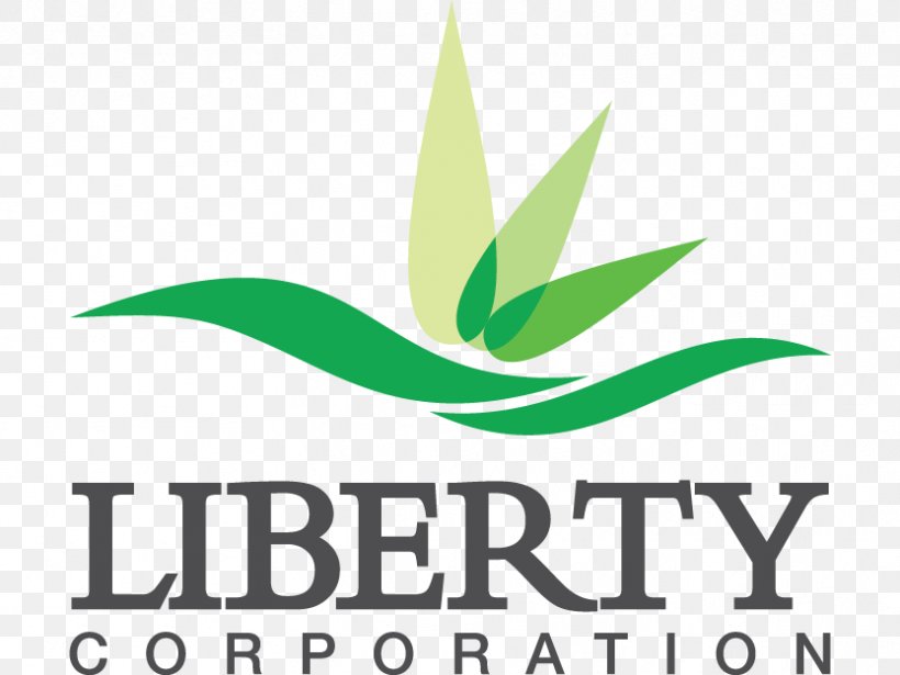 Liberty! The American Revolution Liberty County, Georgia Martinsville, Virginia The Politics Of The American Civil Liberties Union Company, PNG, 833x625px, Martinsville Virginia, Artwork, Brand, Business, Company Download Free