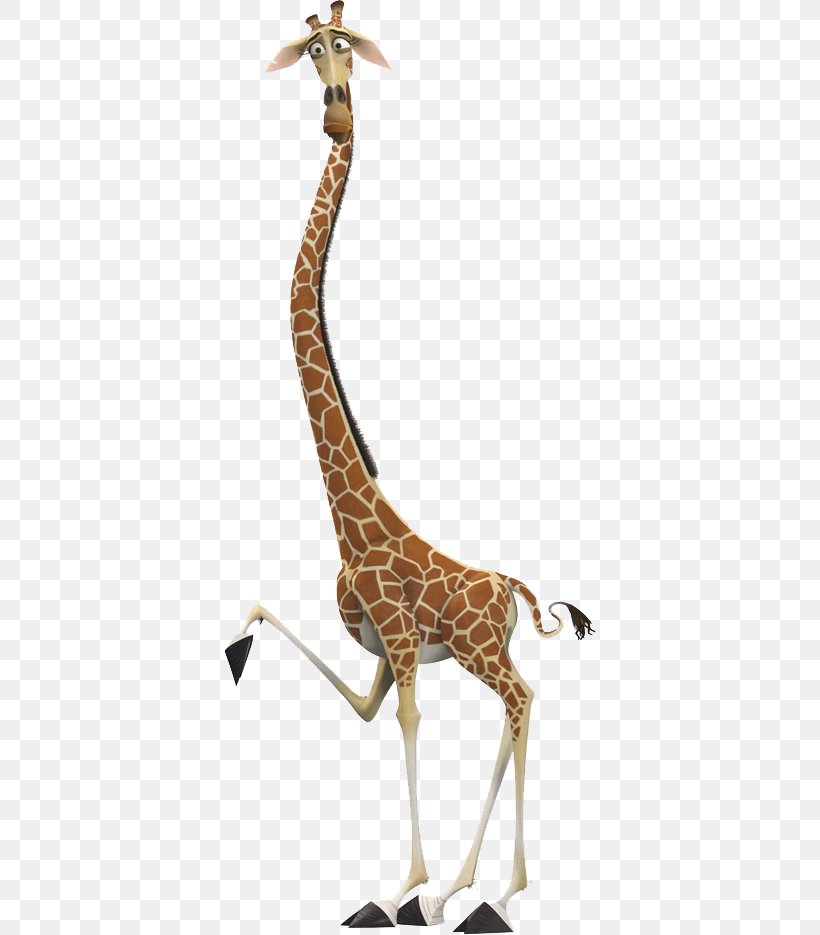 Melman Gloria Madagascar Northern Giraffe Alex, PNG, 372x935px, Melman, Alex, Animal, Animal Figure, Fawn Download Free