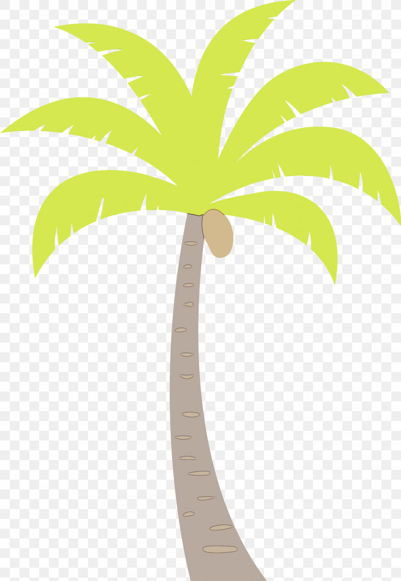 Palm Trees, PNG, 2072x3000px, Palm Tree, Beach, Biology, Cartoon Tree, Flower Download Free