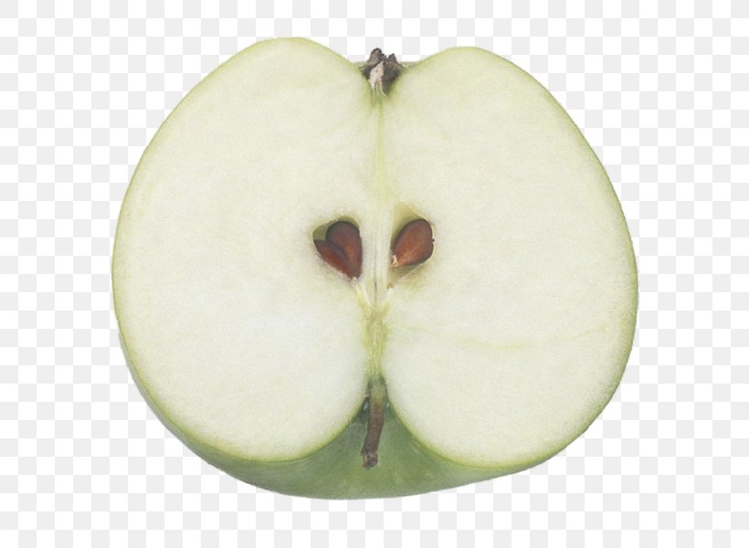 Apple, PNG, 600x600px, Apple, Food, Fruit, Plant Download Free