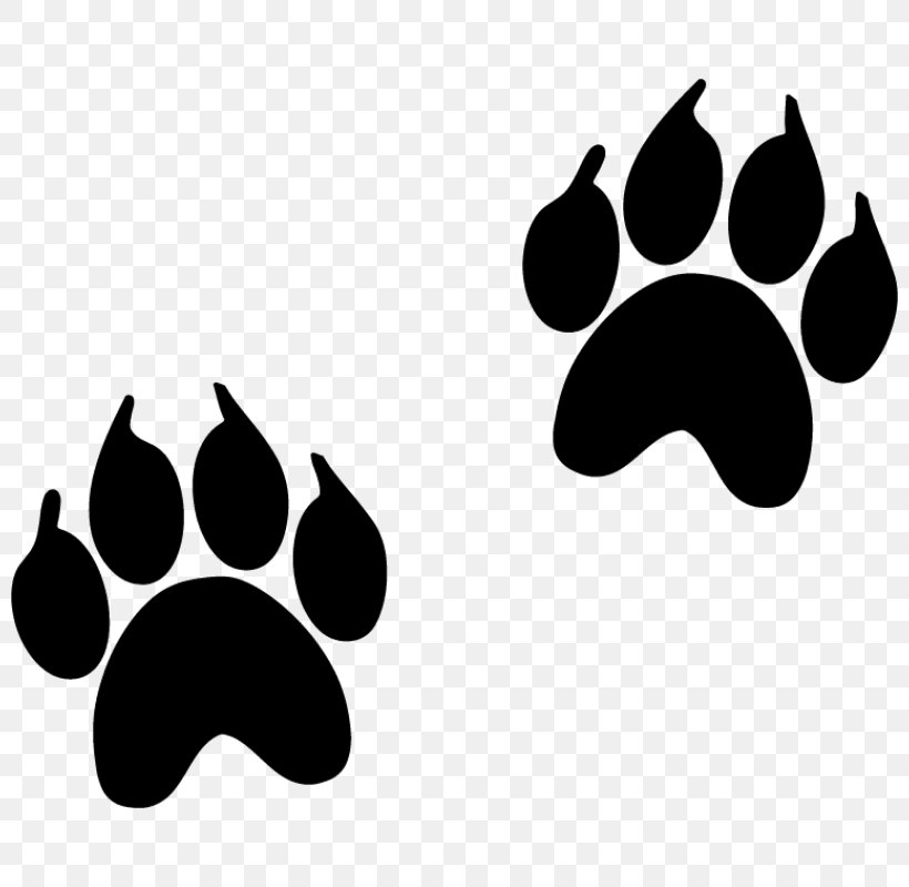 Animal Track Footprint Paw Dog, PNG, 800x800px, Animal Track, Animal, Art, Black, Black And White Download Free