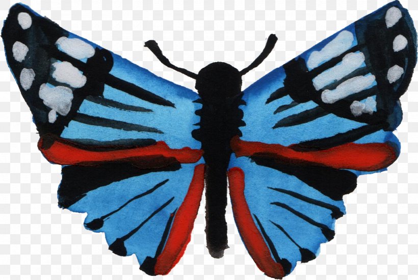 Butterfly Insect Clip Art, PNG, 1440x966px, Butterfly, Animal, Arthropod, Brush Footed Butterfly, Butterflies And Moths Download Free