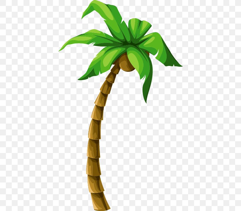 Coconut Tree Euclidean Vector Beach, PNG, 424x717px, Coconut, Arecaceae, Arecales, Beach, Flower Download Free