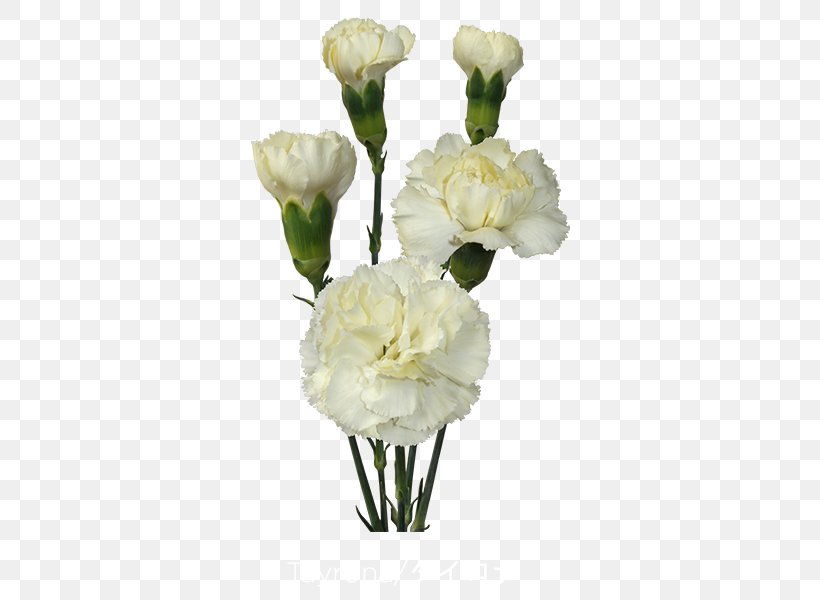 Floral Design Cut Flowers Vase Flower Bouquet, PNG, 600x600px, Floral Design, Artificial Flower, Cut Flowers, Family, Family Film Download Free