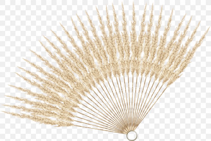 Hand Fan Creativity, PNG, 1600x1070px, Hand Fan, Accessoire, Advertising, Art, Asian Palmyra Palm Download Free