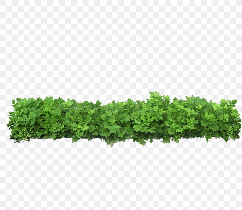 Icon, PNG, 908x788px, Rendering, Chart, Grass, Green, Leaf Download Free