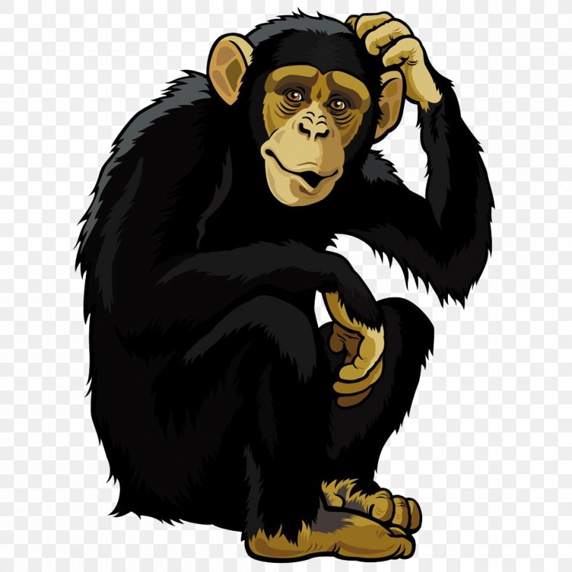 Orangutan Monkey Chimpanzee Clip Art, PNG, 1000x1000px, Orangutan, Bear, Carnivoran, Cartoon, Chimpanzee Download Free
