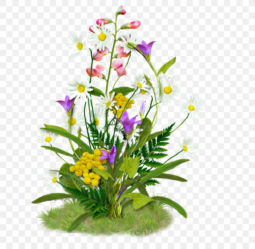 Image Spring GIF Flower, PNG, 800x800px, Spring, Aquarium Decor, Artificial Flower, Blog, Bouquet Download Free