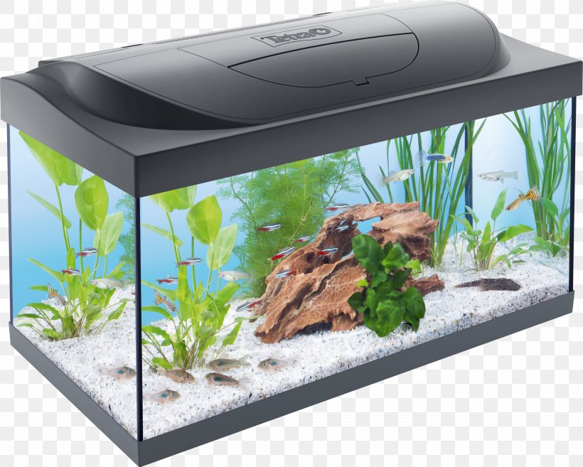 Tetra Starter Line LED 54L Aquarium Filters Fishkeeping, PNG, 5313x4262px, Tetra, Aquarium, Aquarium Decor, Aquarium Filters, Aquariums Download Free