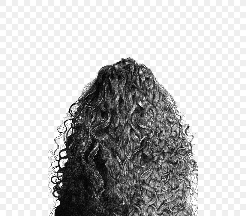 Drawing Hair Art Cabelo Sketch, PNG, 500x719px, Drawing, Afro, Art, Artificial Hair Integrations, Artist Download Free