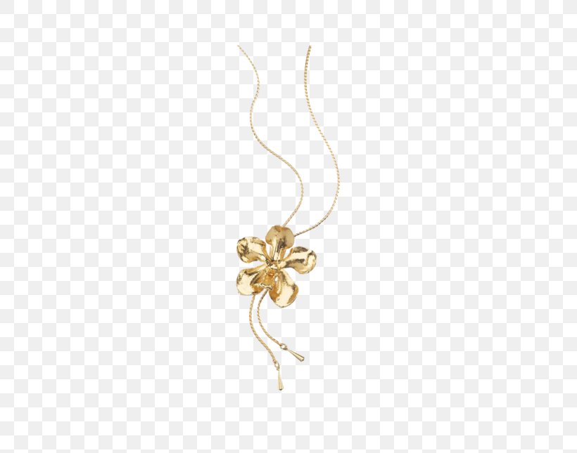 Earring Body Jewellery Necklace Charms & Pendants, PNG, 645x645px, Earring, Body Jewellery, Body Jewelry, Charms Pendants, Earrings Download Free