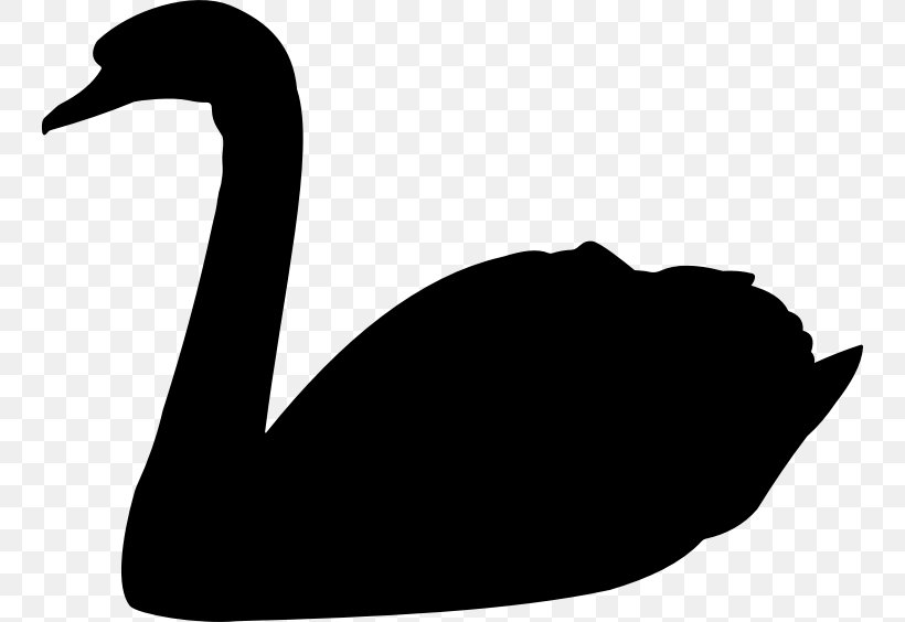 The Black Swan: The Impact Of The Highly Improbable Goose Trumpeter Swan Bird, PNG, 746x564px, Black Swan, Beak, Bird, Black And White, Cygnini Download Free