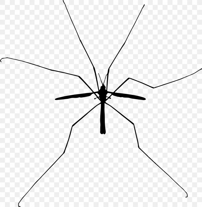Insect Vector Graphics Clip Art Mosquito, PNG, 2198x2254px, Insect, Ant, Arthropod, Butterfly, Harvestmen Download Free