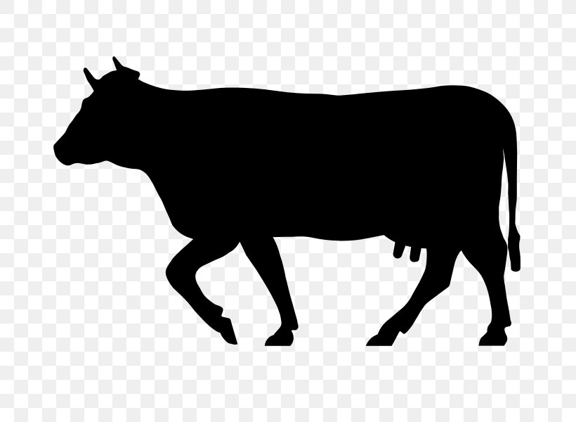 Angus Cattle Salers Cattle Charolais Cattle Beefmaster Zebu, PNG, 675x600px, Angus Cattle, Beef, Beef Cattle, Beefmaster, Black And White Download Free